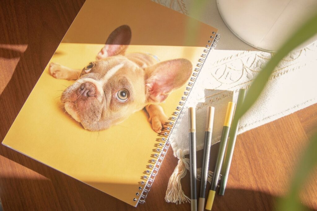 local_like_servicios_ecommerce